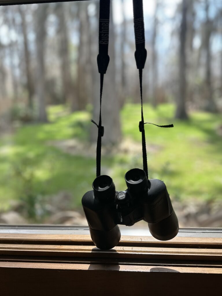 Copyright 2026 Marian Haftel Smith